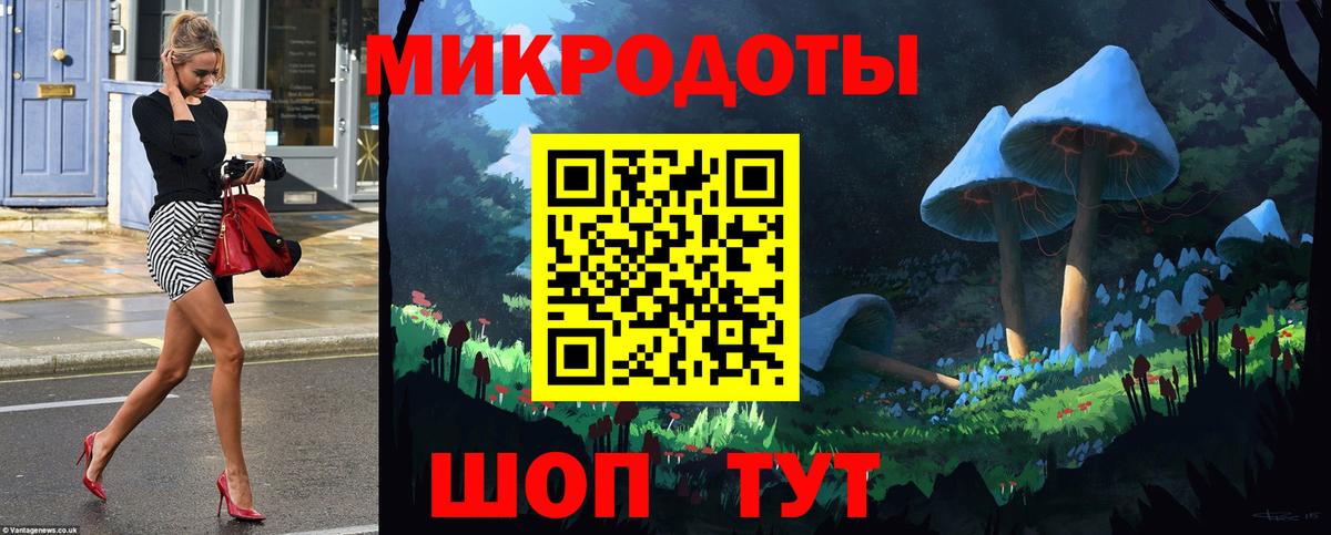 Псилоцибиновые грибы GOLDEN TEACHER Котовск